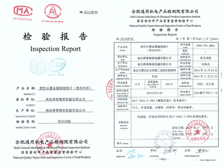Inspection report